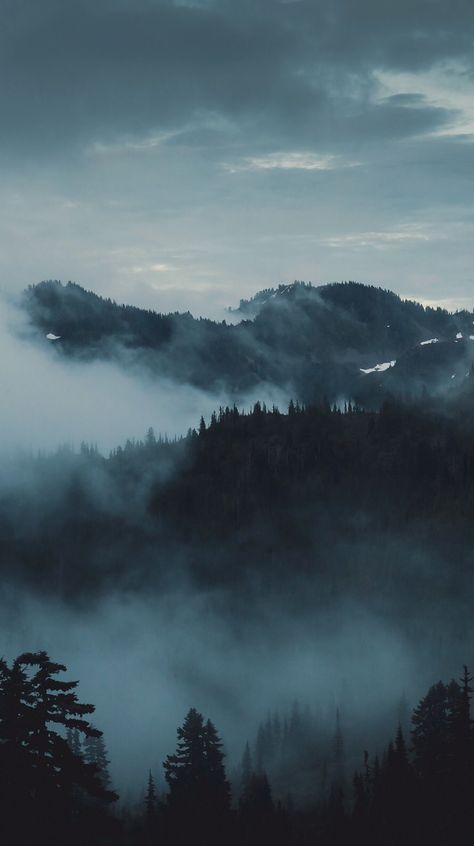 Forest Aesthetic Wallpaper, Destiny Core, Dark Mountain Aesthetic, Dark Mountain Wallpaper, Mountain Dark Aesthetic, Leah Clearwater, Foggy Mountain Aesthetic, Seth Clearwater, Character Information