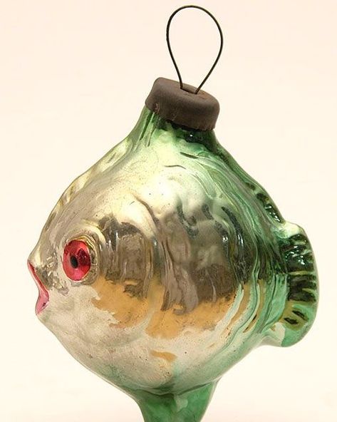 Vintage fish ornament 🎄🐟🎄 #christmasbauble #vintagetreeornament Sun Fish, Mola Mola, Sea Holiday, Antique Christmas Ornaments, Fish Sea, Glass Fish, Coastal Christmas, Old Christmas, Old Fashioned Christmas