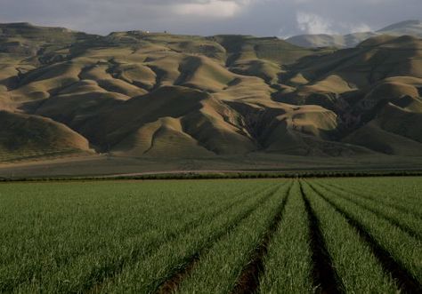 Vampire Money, Tulare California, Hanford California, San Joaquin Valley, Kern County, Capstone Project, Bass Lake, Escape Plan, California Landscape