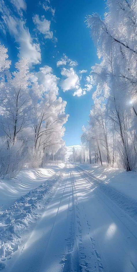 Snowy Season Aesthetic, Winter Scenery Aesthetic, Beautiful Winter Wallpaper, Bright Winter Wallpaper, Snowy Forest Photography, Winter Landscape Photos, Snow Trees Wallpaper, Winter Scenery Wallpaper, White Sky Wallpaper