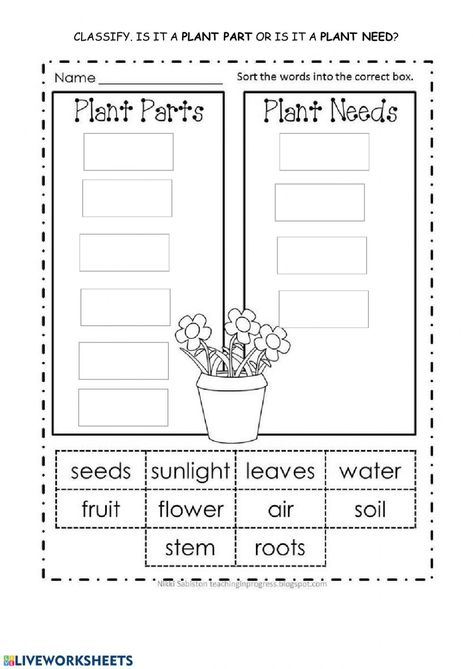 Importance Of Plants Worksheet, Plant Lifecycle Worksheets, Parts Of A Plant Worksheet Grade 1, Plants Parts For Kids, Life Cycle Of A Plant Worksheet, Plants Worksheets For Grade 1, Plants Worksheets For Kids, Parts Of Plant Worksheet, Plant Parts Activities