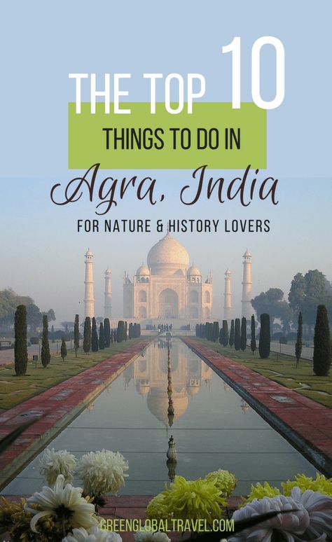 Check out this great guide to the Top 10 Things To Do In Agra, India for nature & history lovers. Includes visiting the Agra Bear Rescue Facility, Taj Mahal, Agra Red Fort, Mehtab Bagh Garden, Elephant Conservation & Care Center, Akbar's Tomb, Jama Masjid, Buland Darwaza & Fatehpur Sikri, and more! | Agra India | Agra India Travel | India Travel Tips | India Travel Places | via @greenglobaltrvl Buland Darwaza, Fatehpur Sikri, India Travel Places, Backpacking India, Jama Masjid, India Travel Guide, Taj Mahal India, Red Fort, Agra India