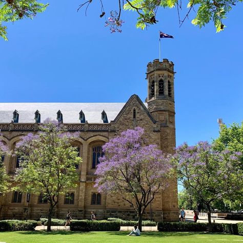 Keith Conlon on Instagram: “A #heritageandjacarandas giant, Bonython Hall at the University of Adelaide was conceived in 1920 when The Advertiser owner Sir John…” University Of Adelaide, South Australia, Study Abroad, Instagram A, Vision Board, Road Trip, University, Australia, On Instagram