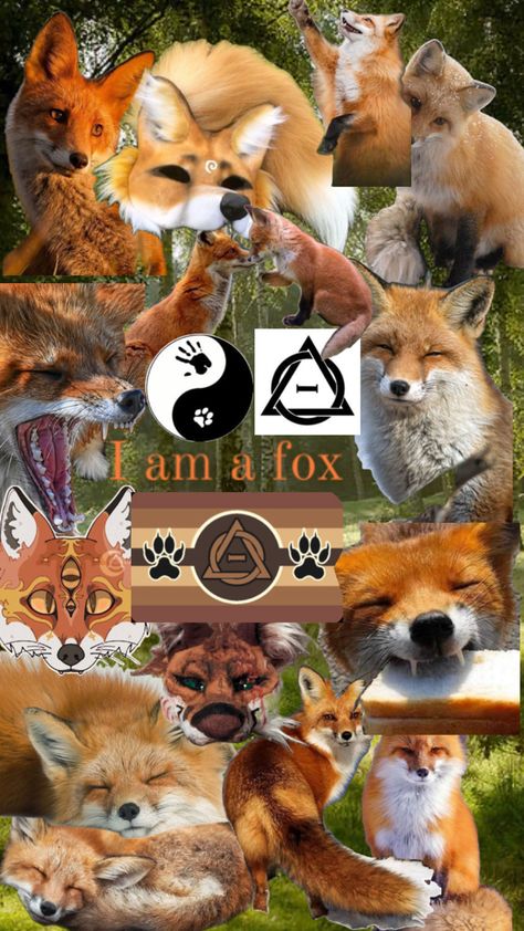 Feel free to use as a background ~ do not repost #fox #therian #therianthropy #background #fyp #foryoupage #foryou #beyourself #foxtherian Fox Background, Monkey Icon, Tim Burton Characters, Fox Pictures, Wild Animals Pictures, Maybe In Another Life, Wolf Wallpaper, Cute Doodles Drawings, Animal Masks