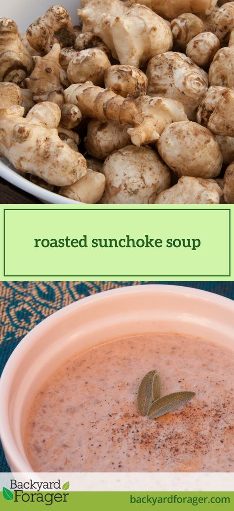 Roasted Sunchoke Soup Recipe - Backyard Forager Hobby Farming, Foraging Recipes, Artichoke Recipes, Harvest Recipes, Vegetarian Soup, Wild Edibles, Garden Recipes, Winter Food, Roasted Vegetables