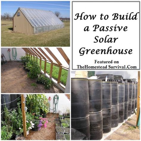 The Homestead Survival | How to Build a Passive Solar Greenhouse | http://thehomesteadsurvival.com - Gardening Passive Solar Greenhouse, Solar Greenhouse, Greenhouse Shed, Greenhouse Kit, Survival Gardening, Greenhouse Plans, Passive Solar, Aquaponics System, Diy Greenhouse