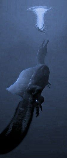 Thalassaphobia 
Spinosaurus 
Horror
Lovecraft Aquaphobia Art, Fear Of Big Things Phobia, Fear Of Deep Water Phobia, Thalassophobia Scary Underwater, Phobia Of Ocean, Thallasophobia Pictures, Thalassophobia Pictures, Deep Sea Aesthetic Dark, Thalassophobia Aesthetic