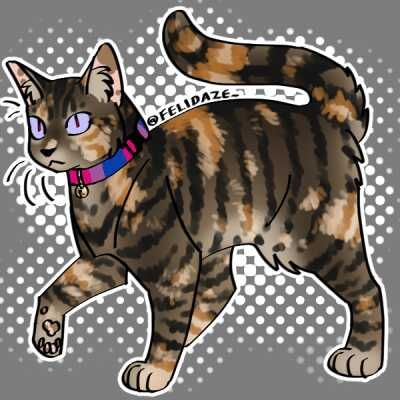 Picrew｜The make-and-play image maker Warrior Cats Picrew, Picrew Cat Maker, Pfp Maker Picrew, Cat Picrew, Cat Genetics, Cosy Homes, Oc Makers, Pfp Maker, Picrew Maker