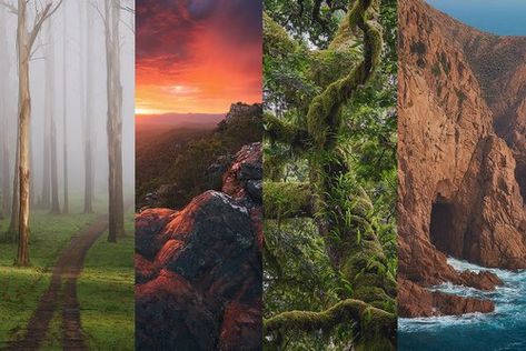 Post-Processing Workflow: Lightroom & Photoshop Editing Tips for Landscape Photography — Mitch Green Photos | Landscape Photography Australian Nature, Photoshop Landscape, Photos Landscape, Nature Landscape Photography, Gaussian Blur, Editing Tips, Forest Photos, Flowing Water, Adobe Lightroom Presets