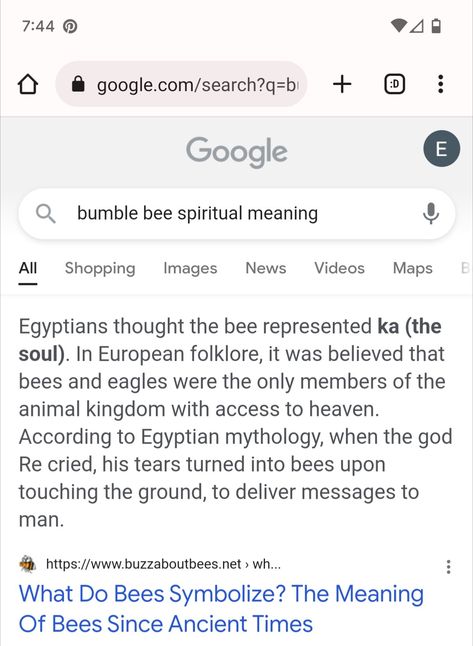 Bumble Bee Meaning, Telling The Bees, Bumble Bee Spiritual Meaning, Bumble Bee Tattoo Meaning, Bumble Bee Aesthetic, Bee Spiritual Meaning, Bee Meaning, Bee Symbolism, Bee Tattoo Meaning