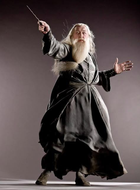 dumbledore Dumbledore Costume, Film Facts, Star Pics, Michael Gambon, Harry Potter Book, Harry Potter Cosplay, Your Cosplay, Harry Potter Pin, Harry Potter Costume