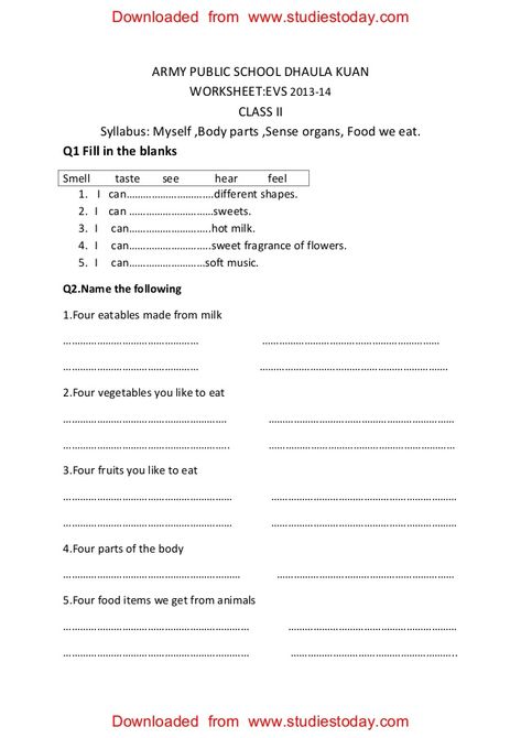 ARMY PUBLIC SCHOOL DHAULA KUAN WORKSHEET:EVS 2013-14 CLASS II Syllabus: Myself… Number System Worksheets, Evs Worksheet, Army Public School, Worksheet For Class 2, Human Body Worksheets, Maths Worksheet, Worksheets For Class 1, Family Worksheet, Hindi Worksheets