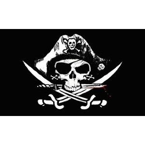 I frickin love pirate stuff. Jolly Rogers and all. Charlie Woods, Pirate Banner, Pirate Flags, Jolly Roger Flag, Pirate Room, Skull Pirate, Skull Flag, Pirate Tattoo, Pirates Party