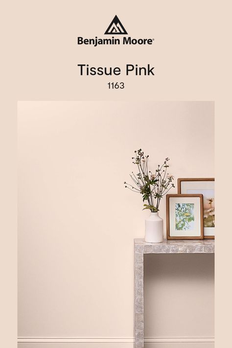 Get to Know Tissue Pink 1163 from the Benjamin Moore Color Trends 2025 palette. This paint color has a graceful blush with a flattering glow. Benjamin Moore Tissue Pink Bedroom, Benjamin Moore Tissue Pink Paint, Benjamin Moore Neutral Pink, Bm Tissue Pink, Benjamin Moore Pink Moire, Benjamin Moore Meadow Pink, Hint Of Mauve Benjamin Moore, Light Peach Paint Color, Tissue Pink Benjamin Moore