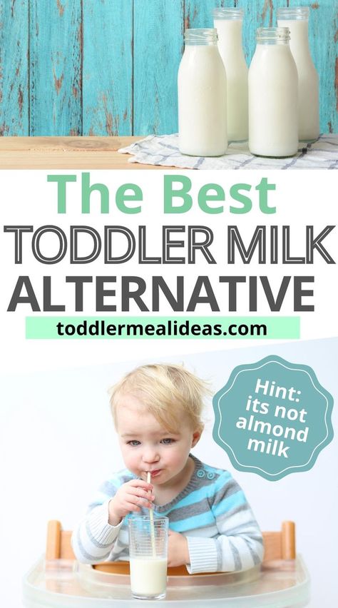 Best Milk Alternative, Benefits Of Milk, Milk Replacement, Toddler Meal Ideas, Milk Benefits, Healthy Milk, Milk Allergy, Lactose Free Milk, Homemade Almond Milk