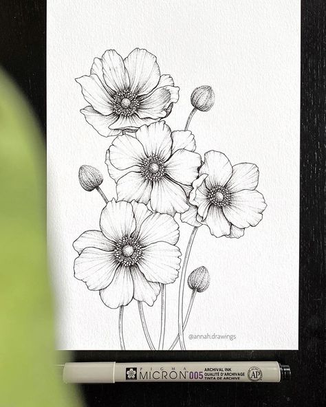 Anna H en Instagram: “Anemones 🌸 . . Oh what a rainy and cold day it has been here, I hope those warm sunny days will be back soon. I have been so tired today…” Botanical Line Drawing, Arte Doodle, Flower Line Drawings, Flower Drawing Tutorials, Flower Art Drawing, Flower Sketches, Floral Drawing, Pola Sulam, Botanical Drawings