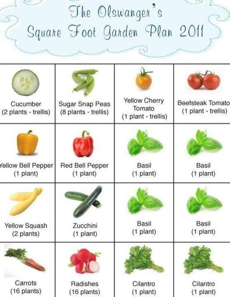 This was our square foot gardening plan for 2011. We have a 4x4 garden box  it was our first garden ever. Cant wait for this year Starting Garden Seeds Indoors, 4x4 Raised Garden Bed, 4x4 Garden, Square Foot Gardening Plans, Raised Veggie Gardens, Square Foot Gardening Layout, Backyard Raised Garden, Gardening Layout, Bed Layout