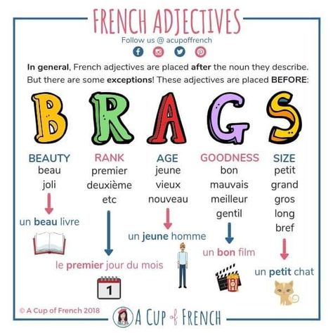 French adjectives - BRAGS Gcse French, French Adjectives, French Basics, French Flashcards, Basic French Words, Study French, French Teaching Resources, French Language Lessons, French Education