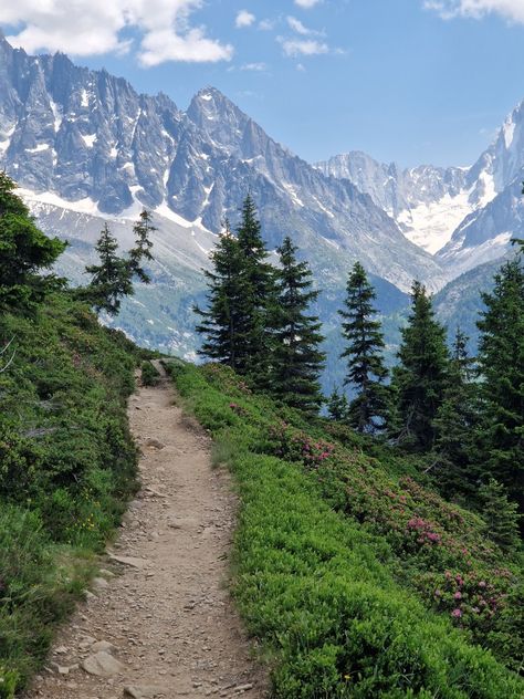 Fun Aesthetic Pictures, French Alps Aesthetic, European Mountains, France Mountains, Mountain Path, Villa France, Gcse Textiles, Mountains Aesthetic, Pretty World