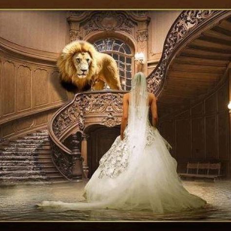 Amazing novel - scriptural analogy of the relationship of The Bride of Christ and Jesus! Description from pinterest.com. I searched for this on bing.com/images Tribe Of Judah, Prophetic Art, Bride Of Christ, Daughters Of The King, Lion Of Judah, King Of Kings, Lord And Savior, A Lion, Jesus Pictures