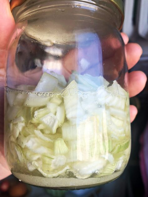 Onion Syrup for immunity - CookINPolish - Traditional Recipes Onion Syrup, Polish Food Recipes, Goat Milk Recipes, Polish Food, Traditional Recipes, Onion Recipes, Polish Recipes, German Food, Milk Recipes