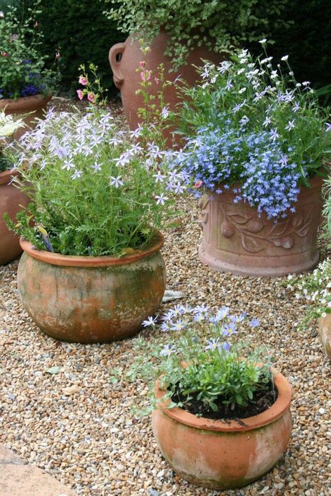 Square Front Garden Ideas, Small Square Garden Design, Tiny Front Garden Ideas, Garden With Gravel, Small Garden Ideas Low Maintenance, Landscaping Perennials, Garden Gravel, Hamptons Garden, Pebble Garden