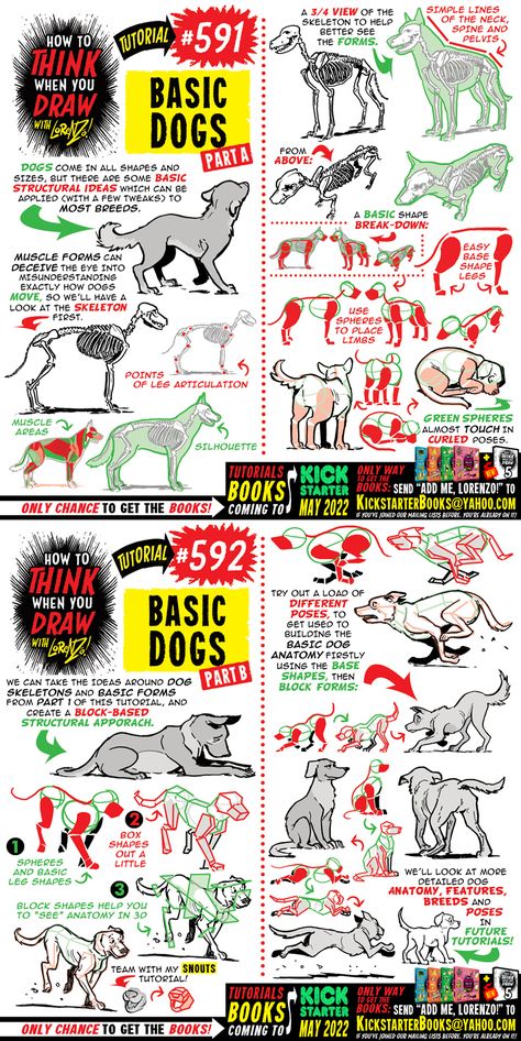 How to THINK when you draw BASIC DOGS tutorial! by EtheringtonBrothers on DeviantArt How To Draw Dogs, Draw Dogs, Etherington Brothers, Mini Tela, Comic Tutorial, How To Think, Animal Study, Canine Art, Comic Drawing