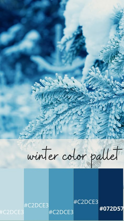 Winter Blue Palette, Winter Wonderland Color Scheme, Blue Christmas Palette, Winter Blue Color Palette, Cold Colour Palette, Winter Wonderland Color Palette, Snow Aesthetic Blue, Blue Christmas Color Palette, Cold Blue Aesthetic