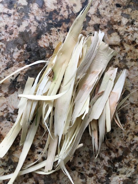 Willow Bark Tincture, White Willow Tree, Herb Remedies, Willow Tea, Love Herbs, Homemade Everything, Wild Foraging, Herb Plants, Wild Food Foraging