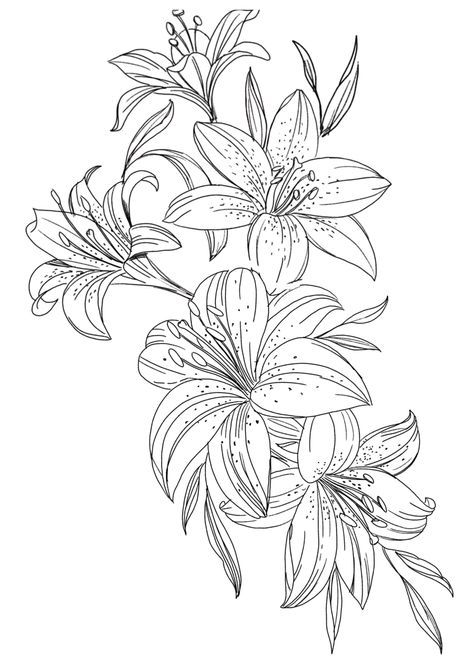 Lion Lily Tattoo, Lily Leaves Drawing, Lily Leaves Tattoo, Tigerlily Flower Tattoo, Lily And Peony Tattoo, Tiger Lily Sketch, Hibiscus Sleeve Tattoo, Lower Sleeve Tattoos For Women, Tiger Lily Tattoo Design