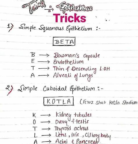 Mnemonics For Neet, Mnemonics For Biology Neet, Neet Exam Notes Biology Tricks, Biology Tricks, Study Tricks, Medical Terminology Study, Biochemistry Notes, Neet Notes, Bio Notes