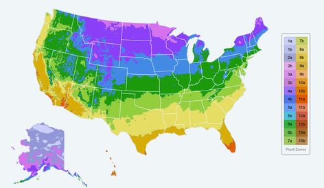 This planting zone map will teach you everything you need to know about plant hardiness and growing zones. Find your planting zone with Gilmour today! Planting Zones Map, Plant Hardiness Zone Map, Planting Calendar, Climate Zones, Garden Calendar, Plant Zones, Gardening Zones, Plant Tags, Edible Landscaping