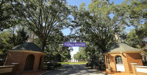 10 of the Easiest Classes at Furman University - Humans of University Writing Argumentative Essays, History Of Psychology, College Vibes, Furman University, Biblical Hebrew, Argumentative Writing, Financial Accounting, College Tips, Dream School