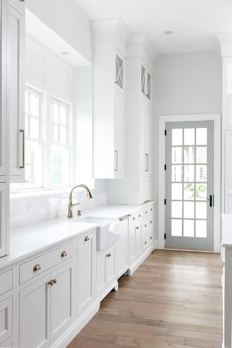 White Galley Style Pantry with Gray Door - Transitional - Kitchen House Development, Style Pantry, White Shaker Cabinets, Kitchen White, Kitchen Ceiling, Shaker Cabinets, Galley Kitchen, Inspiration Photos, Transitional Kitchen