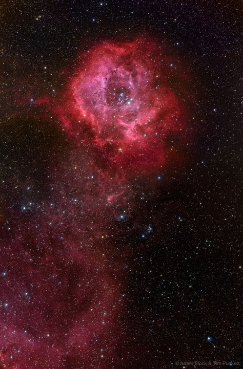 Astronomy Design, Rosette Nebula, Explanation Writing, Nebula Wallpaper, Astronomy Pictures, Nasa Photos, Nebulas, Star Cluster, Space Backgrounds