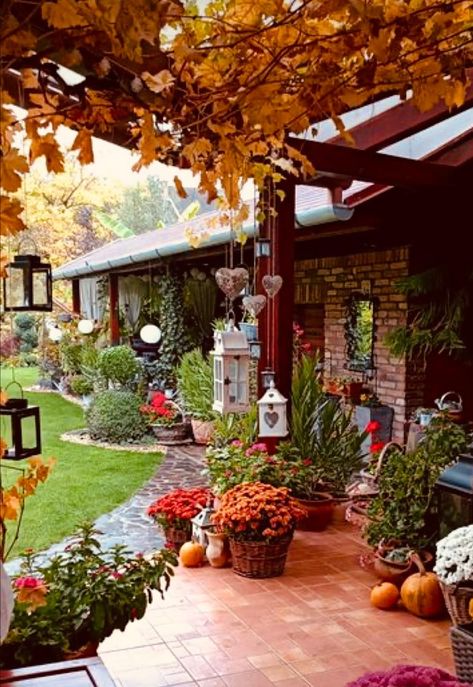 Porch Landscaping, Front Yard Garden Design, Home Decor Aesthetic, Aesthetic Home Decor, Backyard Garden Design, Garden Yard Ideas, Rustic Garden Decor, Patio Designs, Garden Cottage