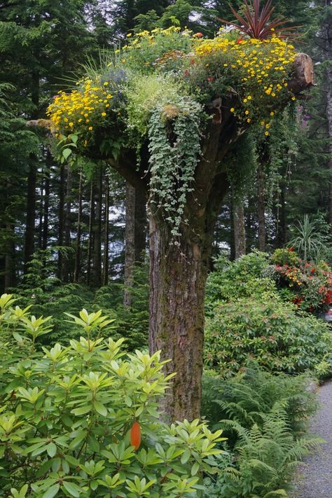 Landscape Ideas Simple, Tree Planter Ideas, Log Planters, Carved Tree Stump, Landscaping Around Patio, Tree Stump Decor, Tree Stump Planter, Log Planter, Large Backyard Landscaping