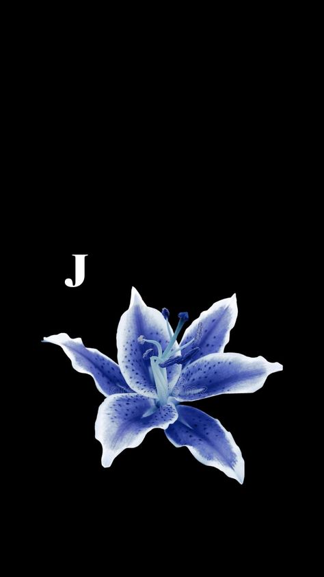 J Flower Wallpaper, E+j Wallpaper, Initial Flower Wallpaper, Flower Wallpaper Initial, J Initial Wallpaper, Letter J Wallpaper, J Aesthetic, J Wallpaper, Flower Lockscreen