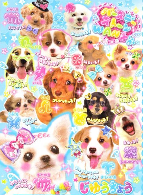 doglipstick: “pastelpoodle: “ beauty pageant dogs… or something. { x } ” astro dogs ” 헬로키티 배경화면, Kawaii Core, Dog Poster, Silly Dogs, Kawaii Animals, Cute Poster, Silly Animals, Kawaii Wallpaper, Pics Art