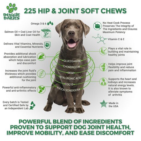 Chicken Pet, Supplements For Dogs, Natural Health Supplements, Dog Joints, Food For Dogs, Glucosamine Chondroitin, Diy Dog Treats, Dog Ages, Dog Supplements