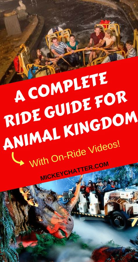 Animal Kingdom Rides, Magic Kingdom Tips, Magic Kingdom Rides, Disney Animal Kingdom Lodge, Disney 2023, Disney Honeymoon, Disney World Rides, Disney World Vacation Planning, Plan Your Day