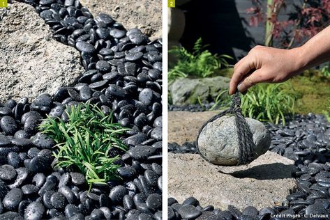 Tout l'esprit du Japon dans 4m² - Détente Jardin Jardin Zen Miniature, Mini Jardin Zen, Yucca Rostrata, Spiritual Garden, Small Japanese Garden, Manifesting Abundance, Colorful Salads, Zen Garden, You Gave Up