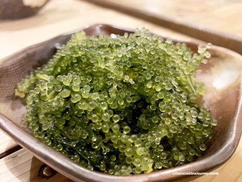 Sea Grapes called Okinawa Umibudou is a unique must try food of Okinawa Japan. Photo Credit: LifesIncredibleJourney.com© Okinawa Recipes, Okinawan Food, Okinawa Food, Must Try Food, Sea Grapes, Japan With Kids, Japan Beach, Asian Things, Kyoto Japan Travel