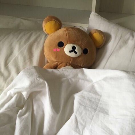 ❀ sᴛᴜɴɴɪɴɢᴠᴇɴᴜs Rilakkuma Plushie, Stock Design, Kawaii Plushies, Cute Stuffed Animals, Rilakkuma, Cute Toys, Cute Plush, Room Aesthetic, Cute Bears