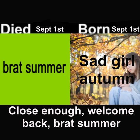 Meme charlixcx Brat summer Welcome Back Meme, Brat Summer, Sept 1, Welcome Back, Memes, Quick Saves