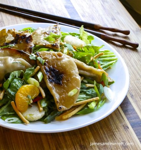 Asian Pot Sticker Salad Sesame Dressing Recipe, Asian Sesame Dressing, Pot Sticker, Chow Mein Noodles, Sesame Dressing, Mandarin Oranges, Pot Stickers, Garden Vegetables, Fruit Salsa