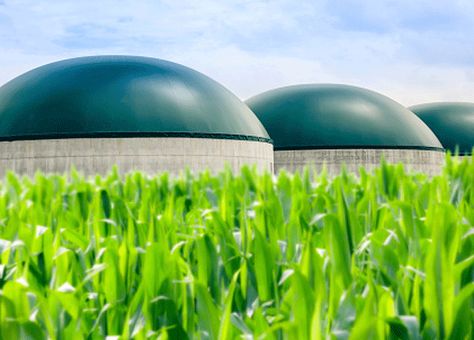 Biogas is a gaseous fuel containing methane produced by the anaerobic digestion of biological material. HRS produce heat exchangers for the AD process. Anaerobic Digestion, Heat Exchanger, Permaculture, Ball Exercises, Fuel, Heat