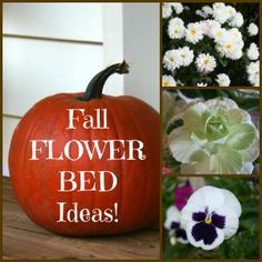 Fall Flower Bed Ideas - Home and Garden Joy Fall Flower Bed Ideas, Fall Flower Bed, Fall Flowers Garden, Rock Landscaping Ideas, Flower Bed Designs, Blue Bathroom Decor, Nautical Bathroom Decor, Front Garden Design, Flower Bed Ideas