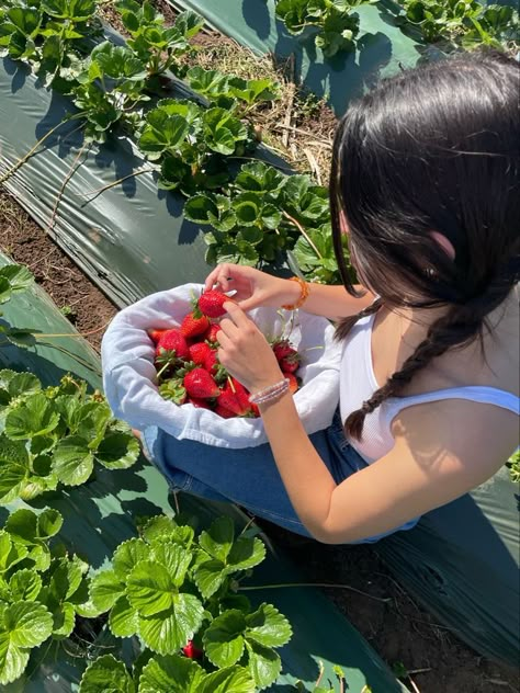 Free Woman Aesthetic Outfits, Miss Independent Aesthetic, Strawberry Picking Photography, Strawberry Picking Pictures, Strawberry Farm, Strawberry Girl, Berry Picking, Strawberry Picking, Fruit Picking