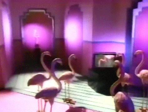 retrowave Retrowave Aesthetic, 80s Gif, Dreams Core Aesthetic, Flamingo Vintage, Creepy Cute Aesthetic, Everything She Wants, Retro Images, 80s Aesthetic, Vaporwave Aesthetic